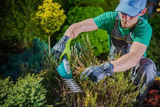 landscaping services St. James